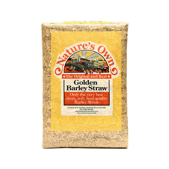 Golden Barley Straw image 0