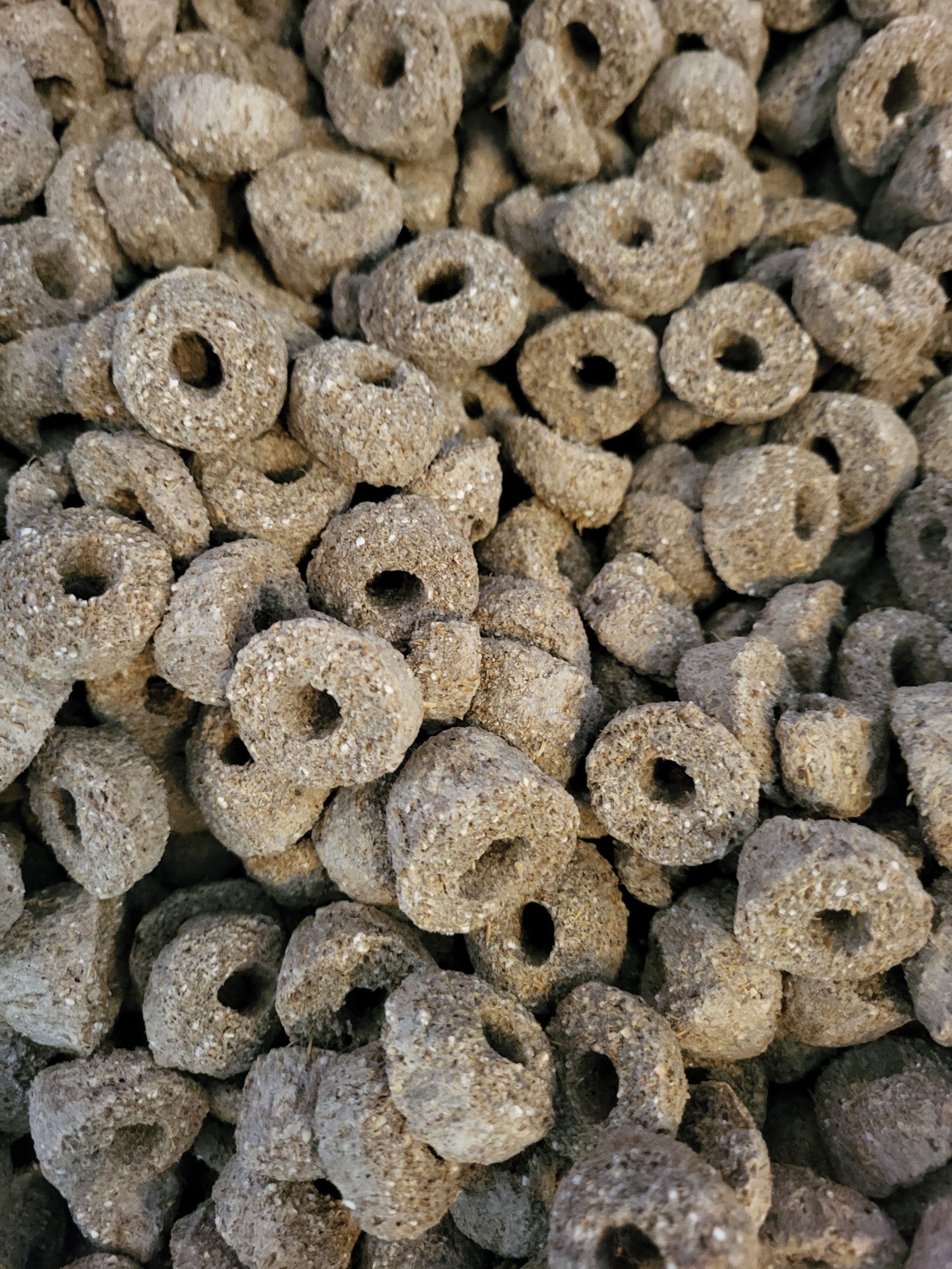 Barley Rings