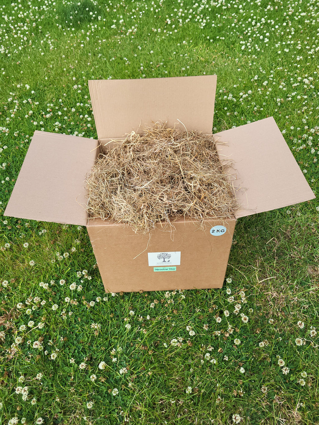 Box of Meadow Hay, top view, sitting on grass with clover