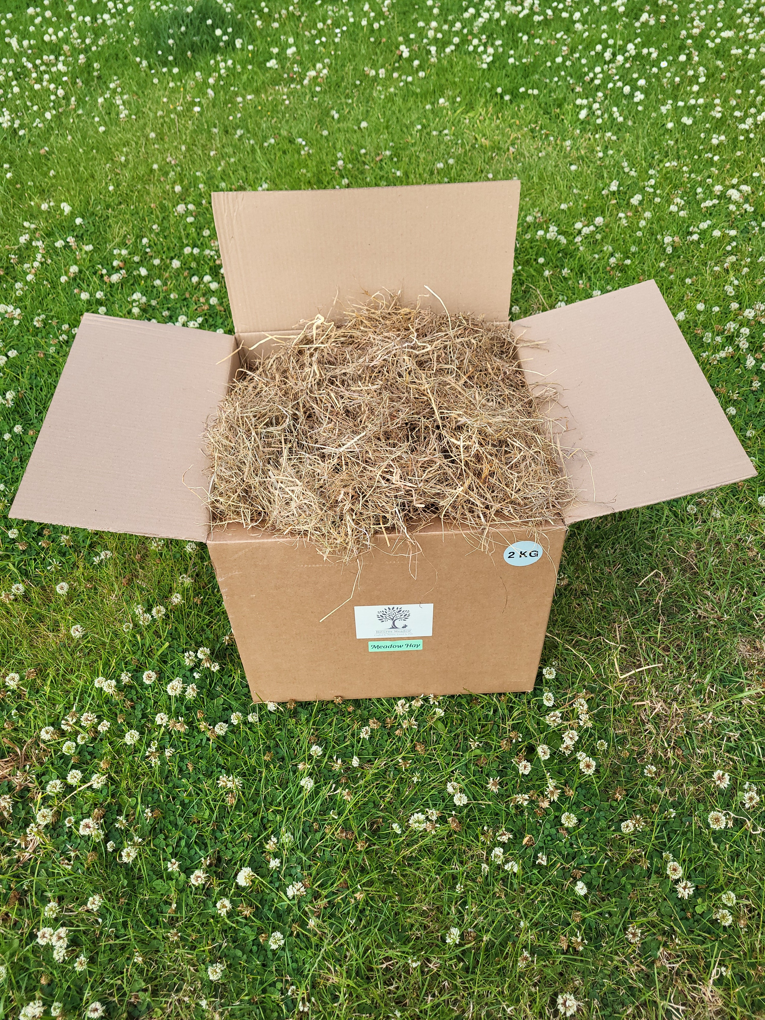 Box of Meadow Hay, top view, sitting on grass with clover
