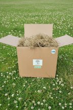 Box of Meadow Hay sitting on grass with clover