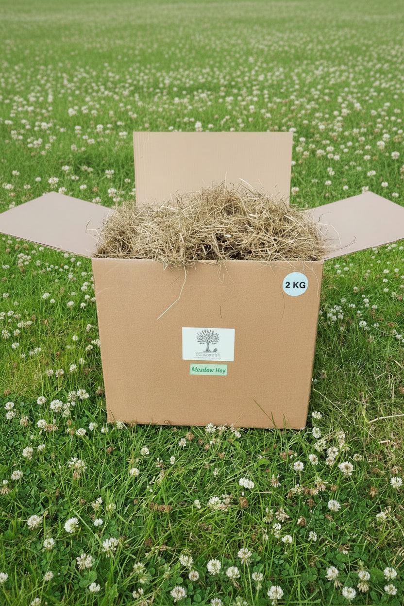 Box of Meadow Hay sitting on grass with clover