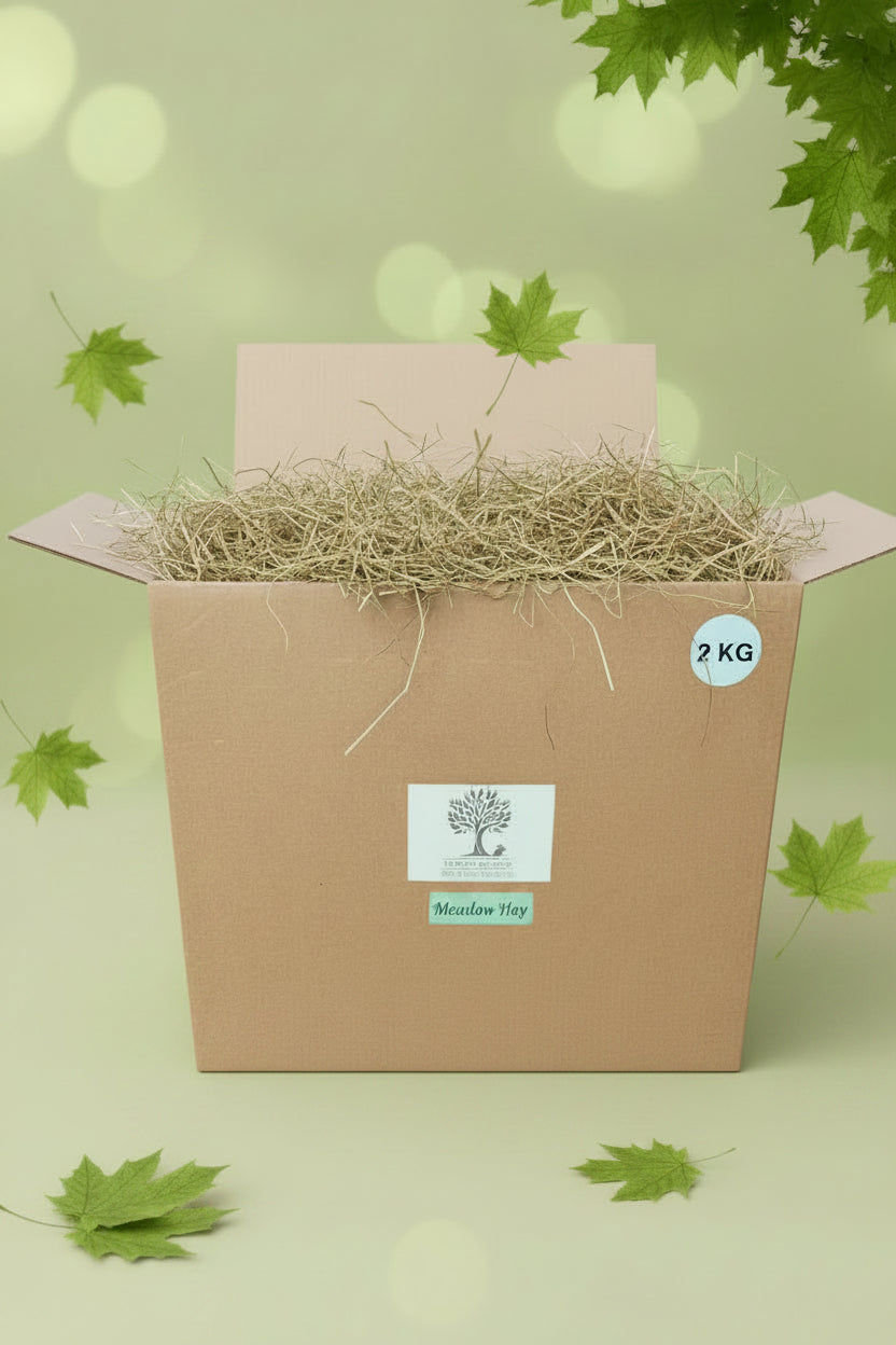 Box of Meadow Hay with pale green background and falling leaves
