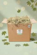 Box containing Timothy Hay with fallen leaves around it