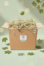 Box containing Timothy Hay with fallen leaves around it