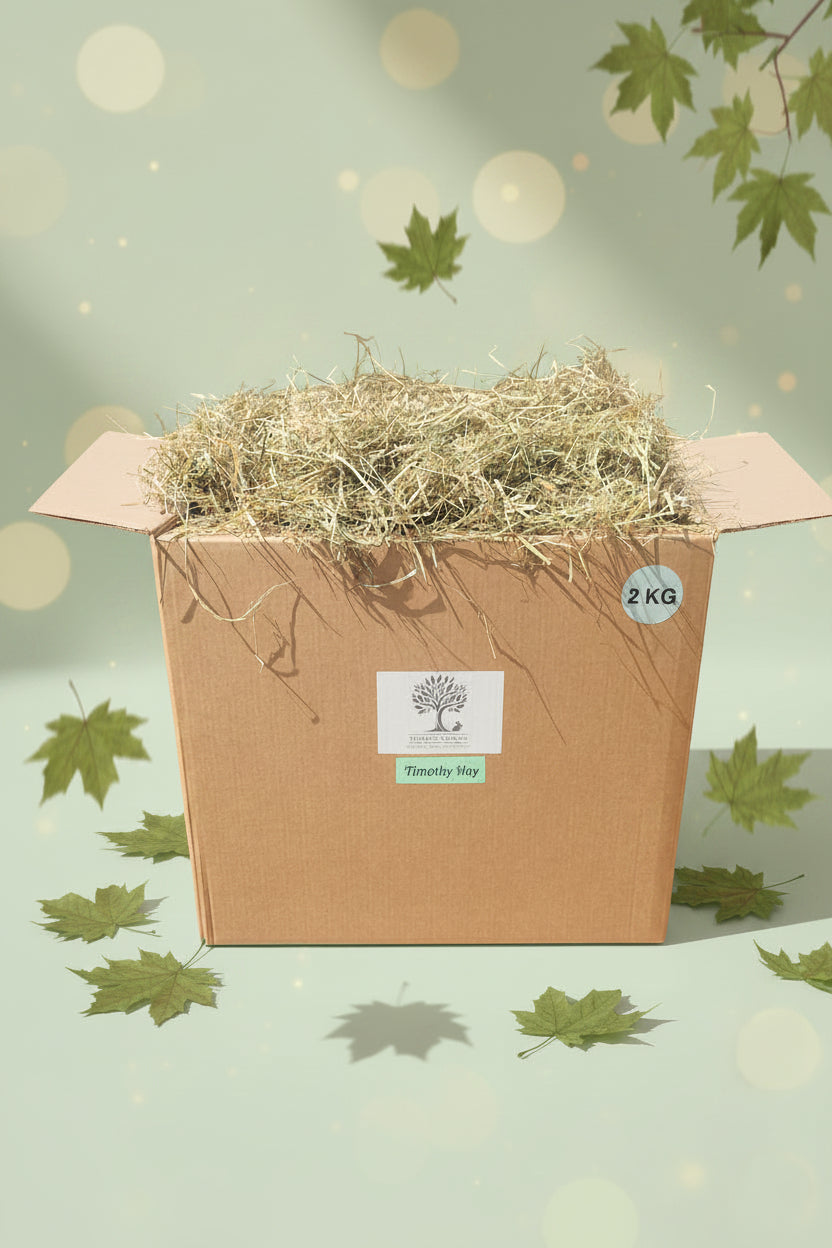 Box containing Timothy Hay with fallen leaves around it