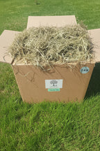 Box containing Timothy Hay placed on grass
