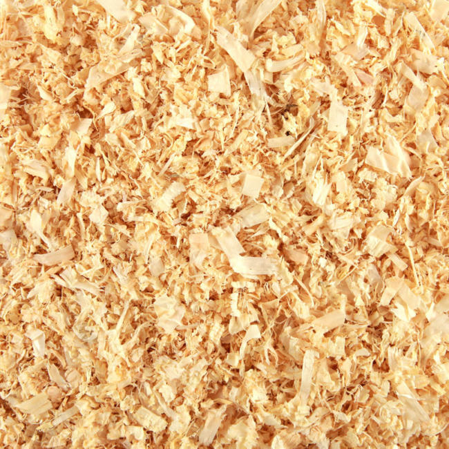 Large Softwood Shavings image 2