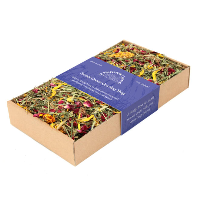 Grazing Tray - Cornflower image 1