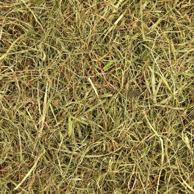 Sweet Green Hay image 2