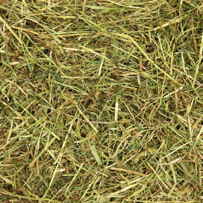 Devon Meadow Hay image 2