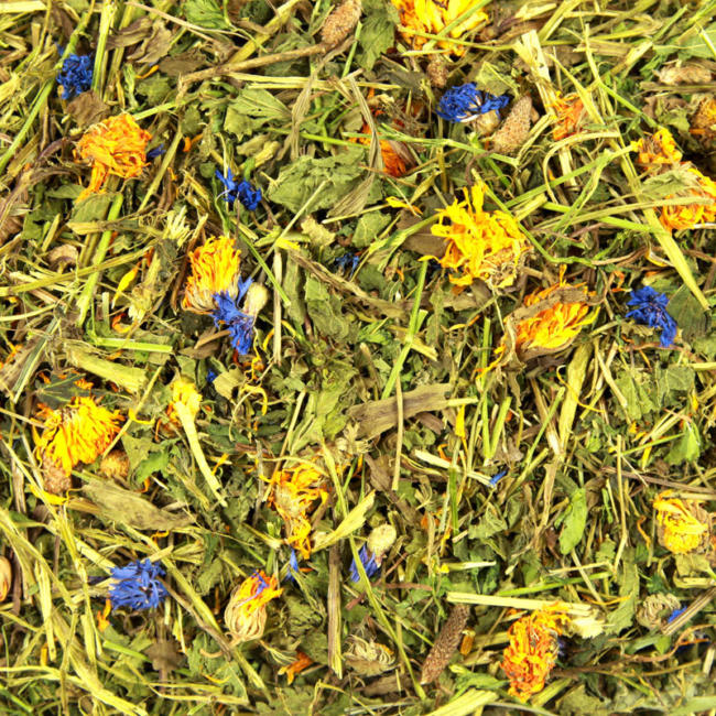 Meadow Mix with Dandelion & Cornflowers