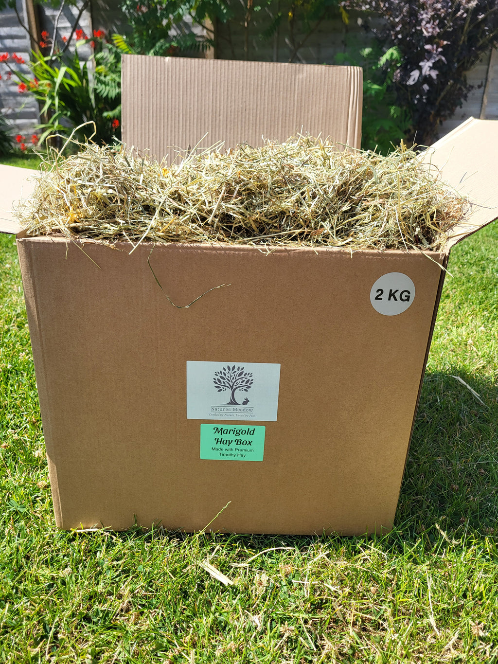 Marigold Hay Box