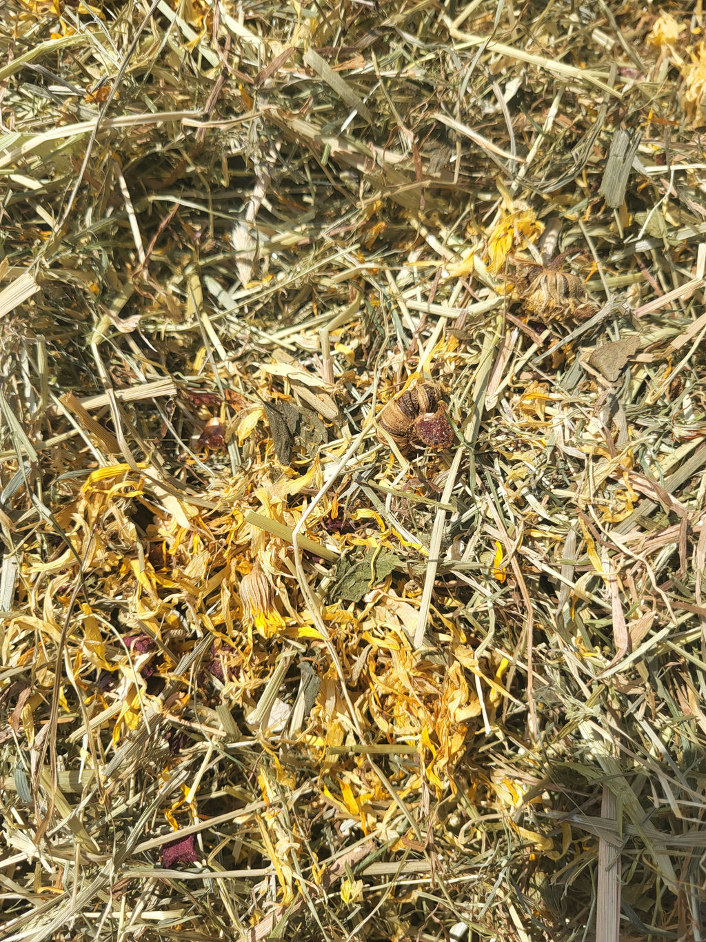 Close up image of blended Hay and Marigolds for Marigold Hay