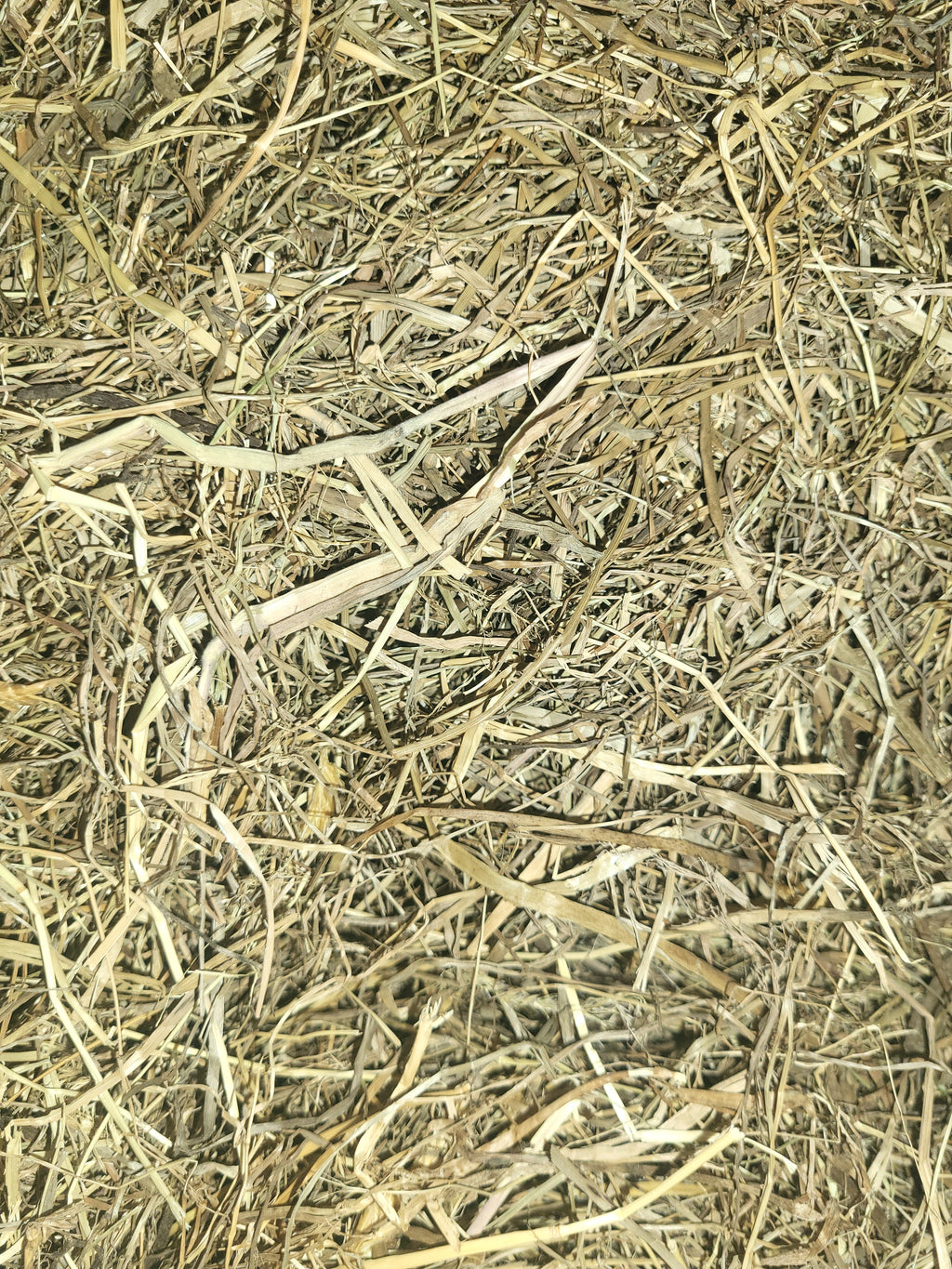 close up sample of Meadow Hay