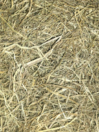 close up sample of Meadow Hay
