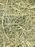 close up sample of Timothy Hay
